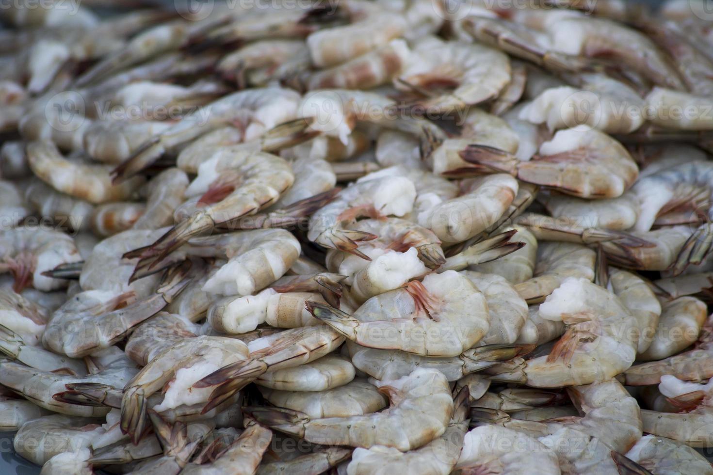 los mariscos crudos variados foto