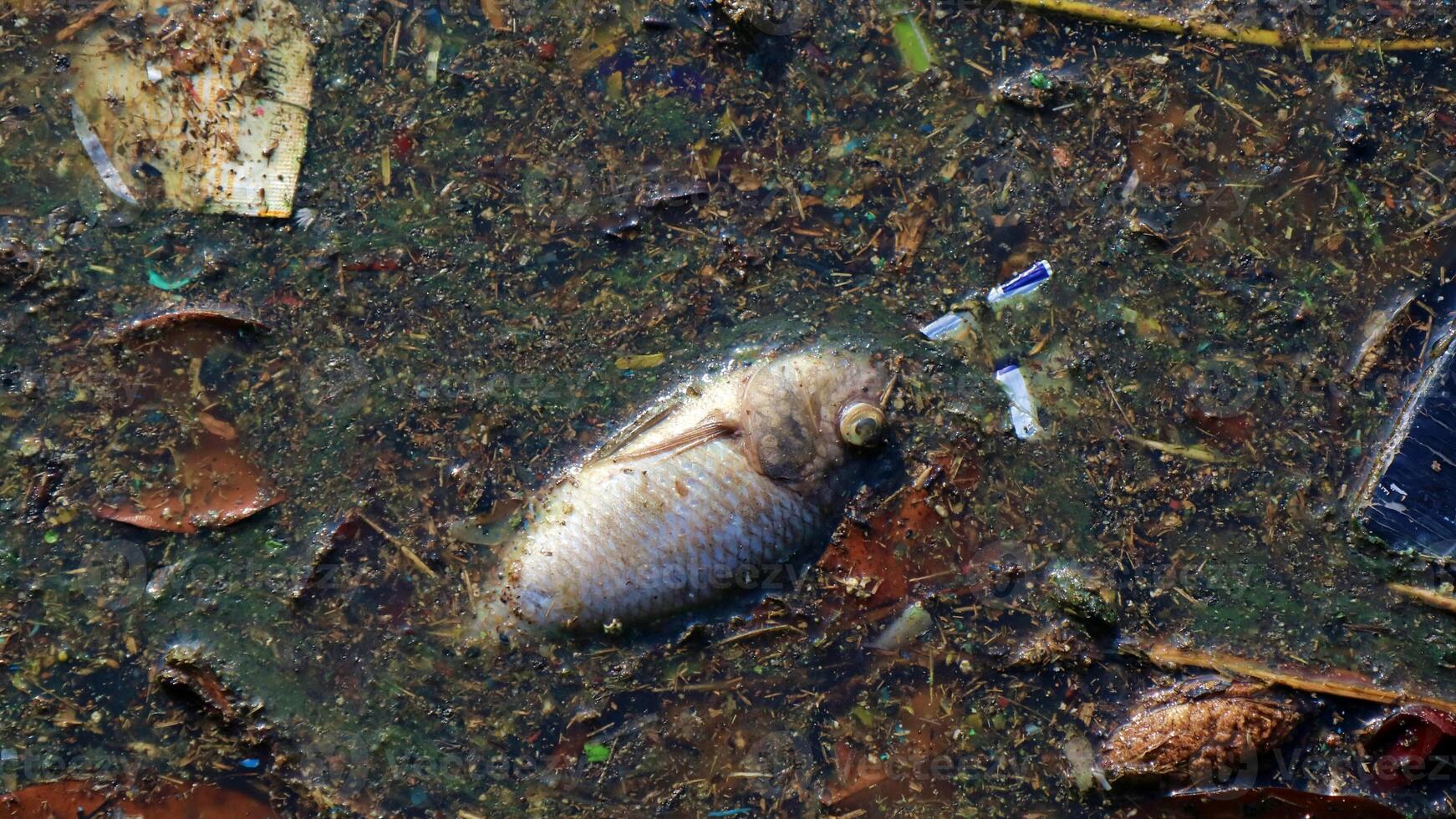 río que está contaminado con varios tipos de basura y basura foto