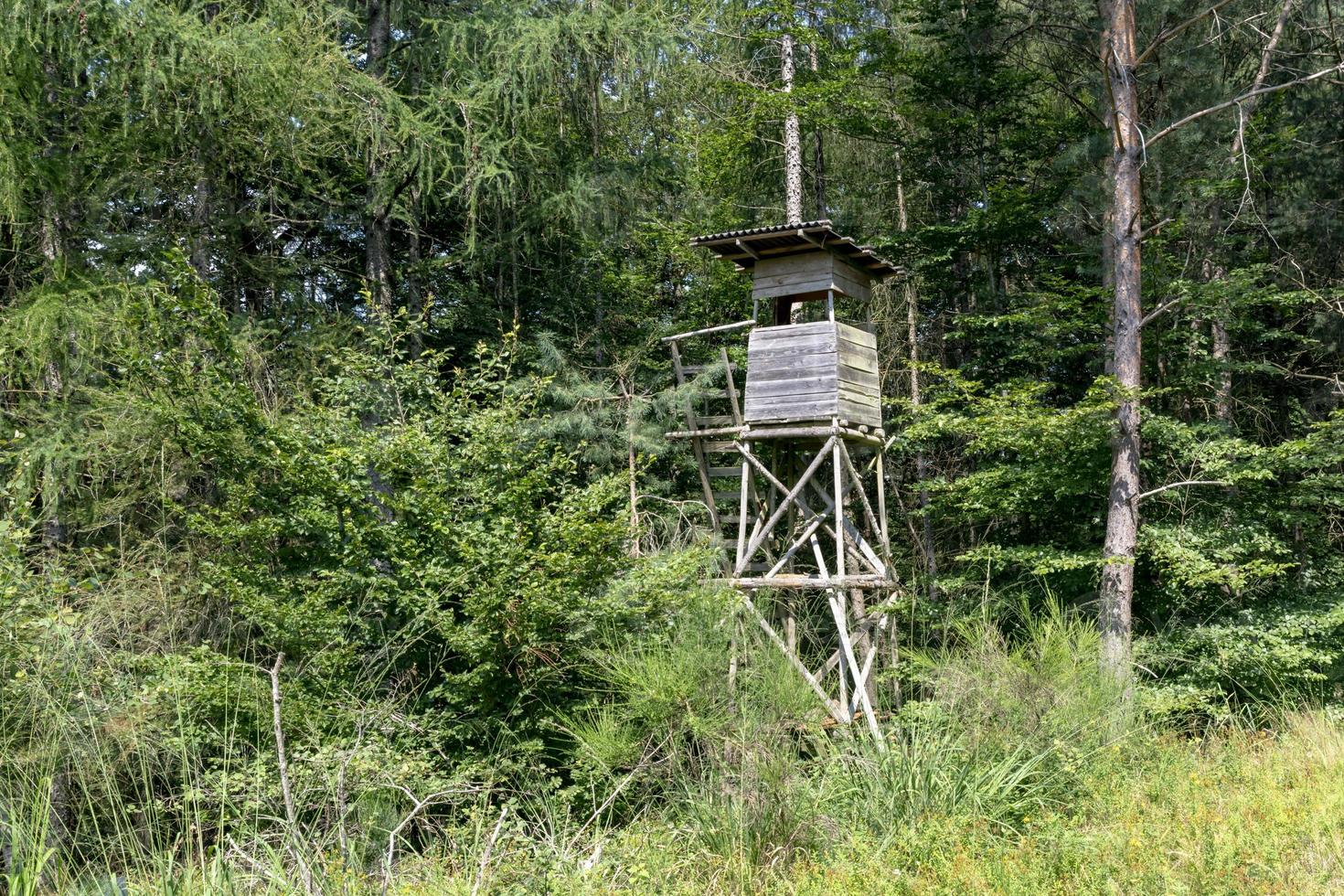 Hunter's high seat on a mountain slope in summer with trees photo