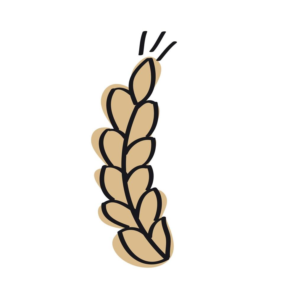 Spikelets of rye, cartoon icon vector