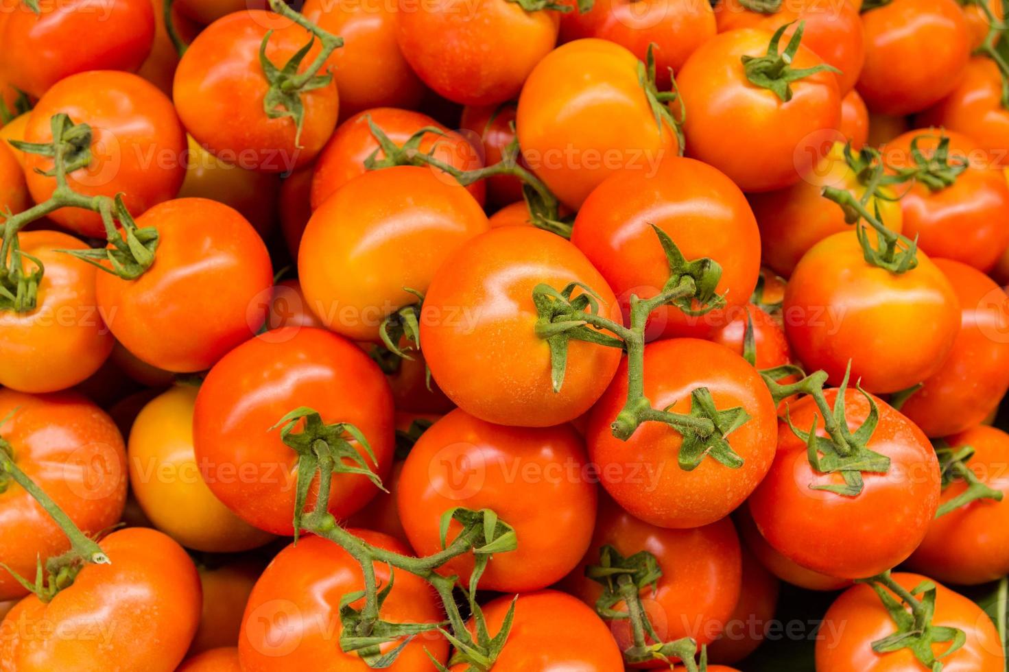 Fondo de tomates rojos. foto