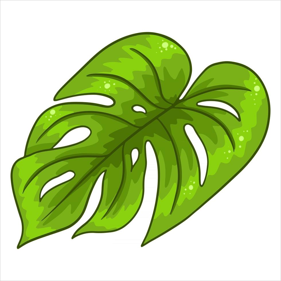 Tropical plants exotic carved green leaf in cartoon style vector