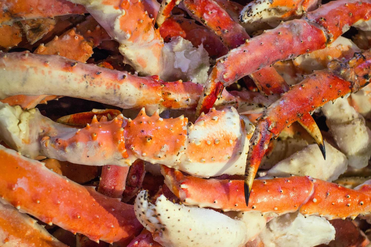 Closed up of crab leg frozen in a pile. photo