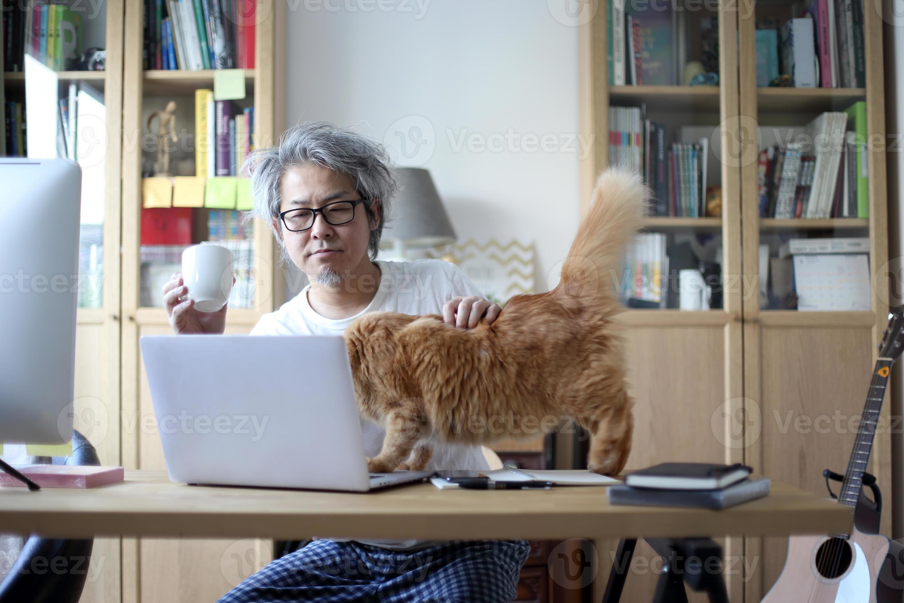 Work from home 3279682 Stock Photo at Vecteezy
