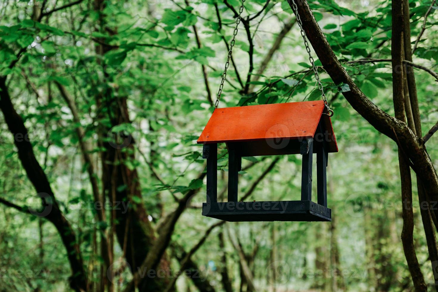 Wooden bird feeder in green summer forest or in the city park photo