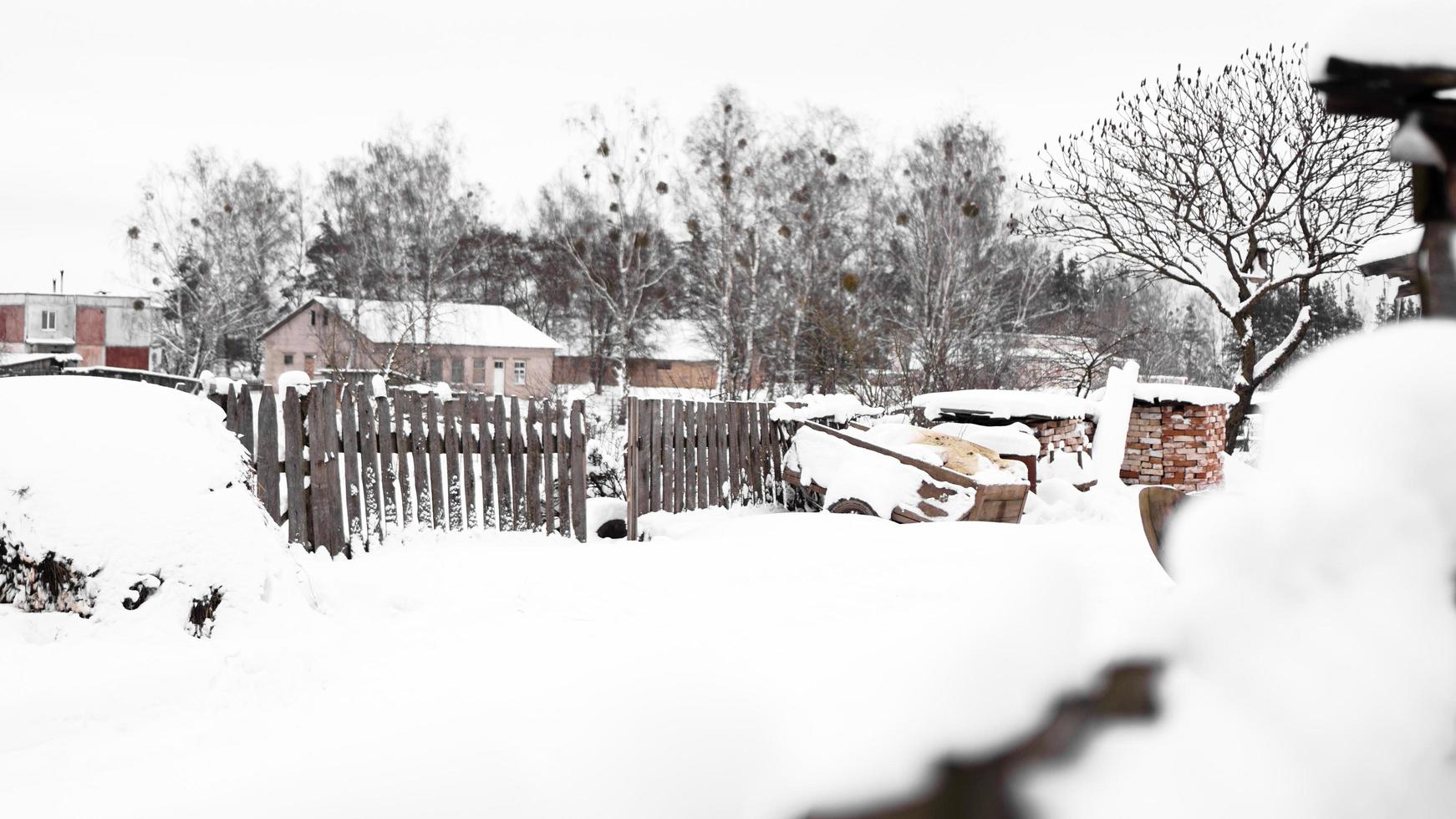 campo y naturaleza en invierno. mucha nieve después de una nevada foto