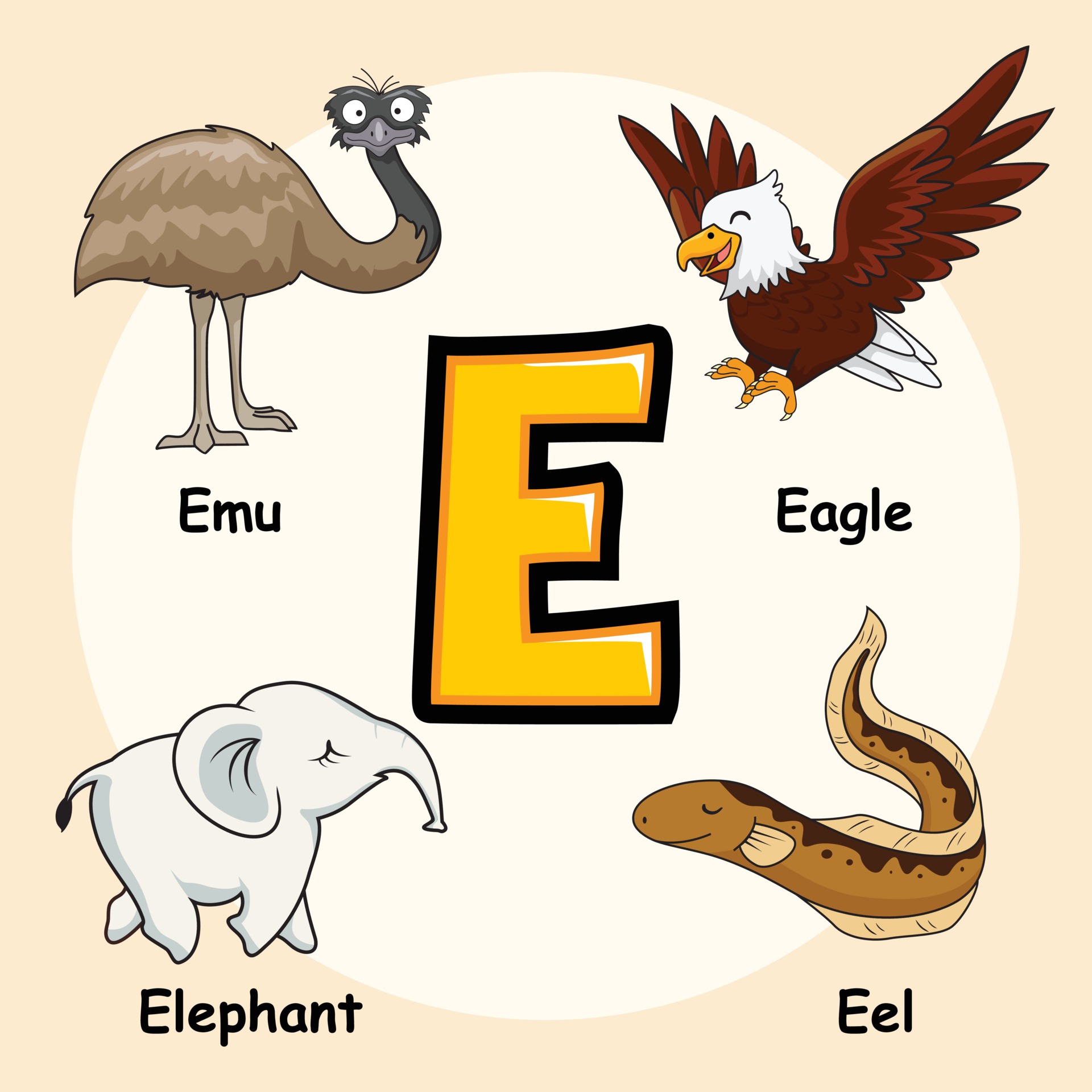 animals-alphabet-letter-e-for-eagle-emu-elephant-eel-vector.jpg