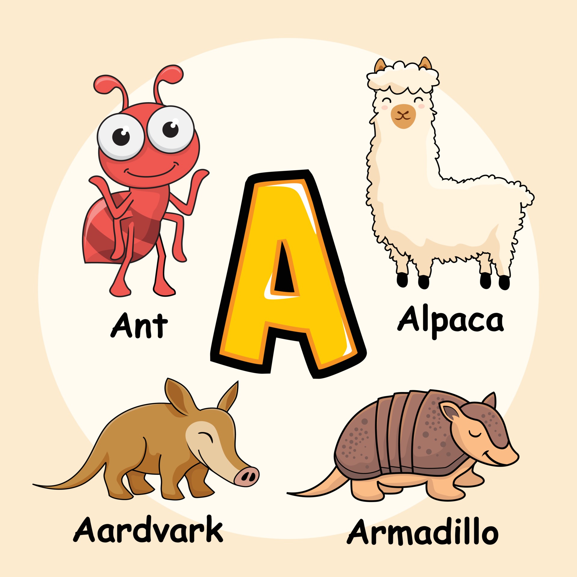 Animals Alphabet Letter A for Ant Alpaca Aardvark Armadillo 3281058 Vector  Art at Vecteezy