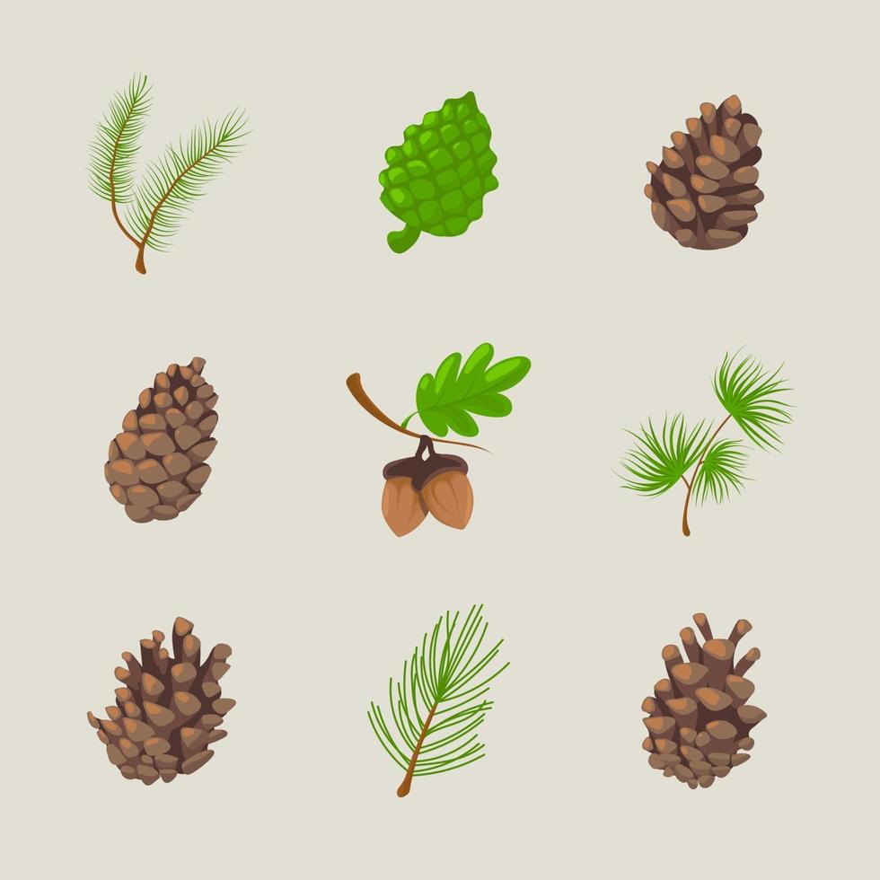 Pinecone Icon Collection vector