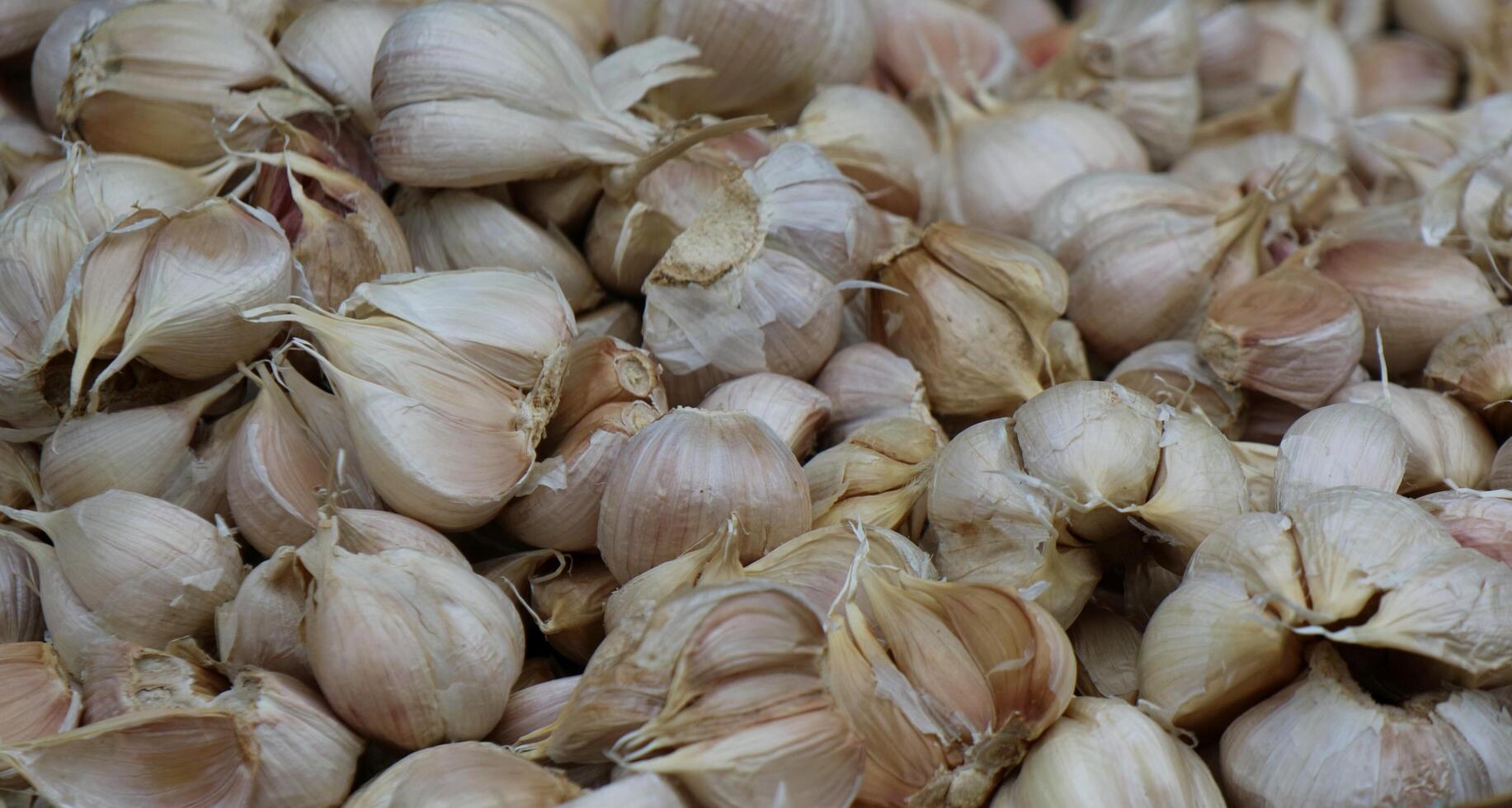 Manojo de cebollas blancas en el mercado tradicional foto