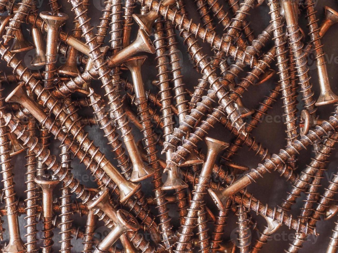 Wood screw fasteners photo