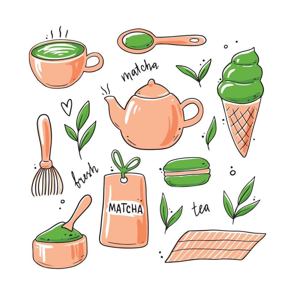 Set of hand drawn matcha tea ingredient elements. vector