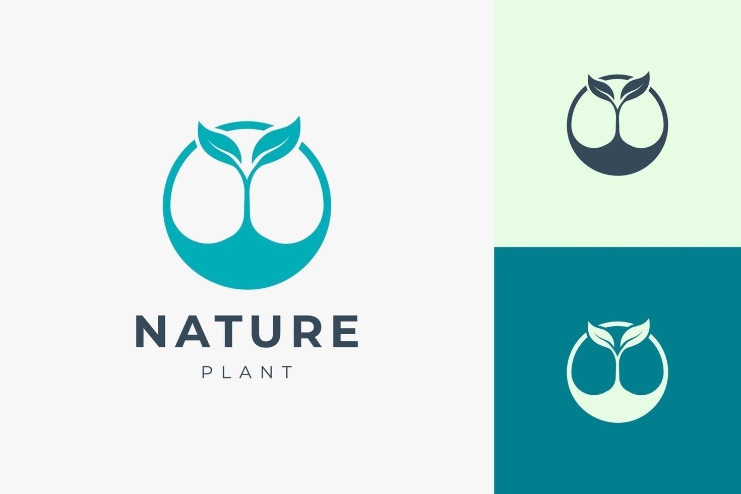 Clean and simple plant logo template for organic or agriculture vector