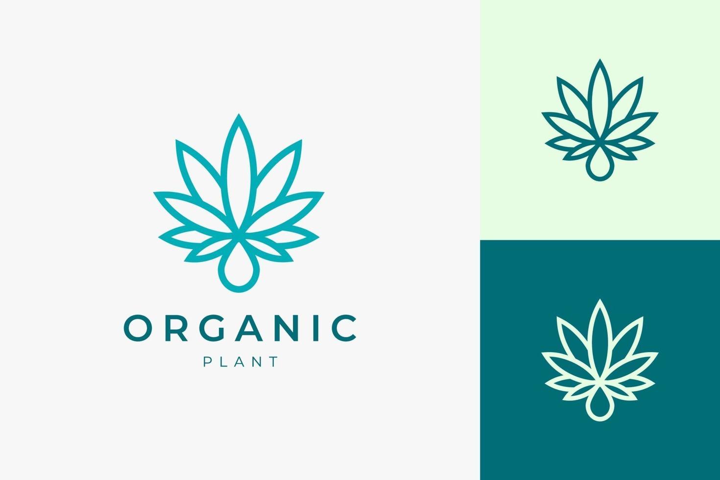 Logotipo de hoja y aceite de cannabis para uso médico y farmacéutico. vector