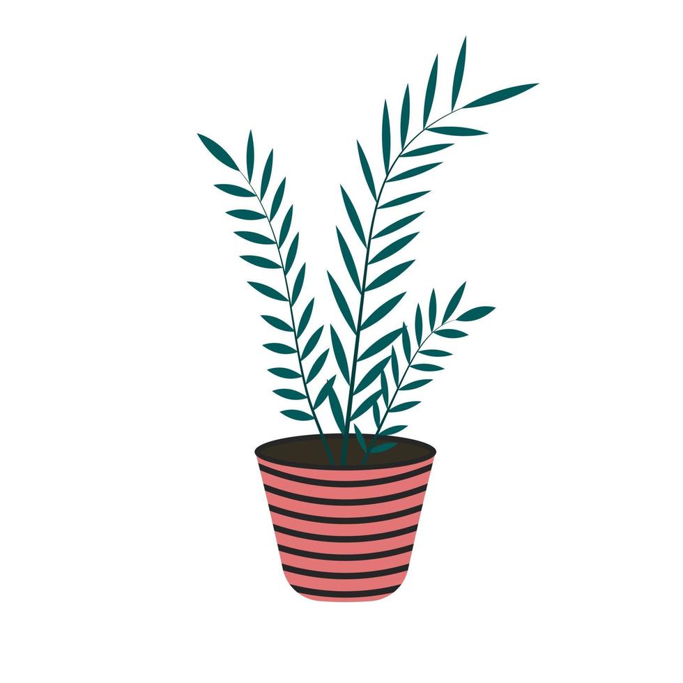 Home plant in flowerpot isolated on white background in flat style. vector