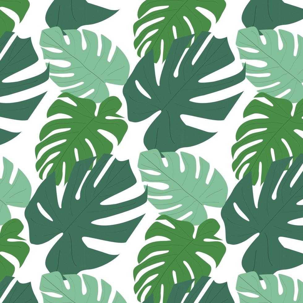 Monstera leaves background vector