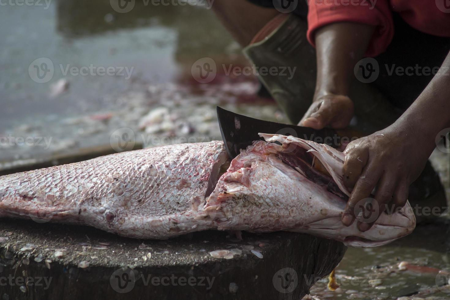 la variedad de mariscos que se venden en el mercado de pescado foto