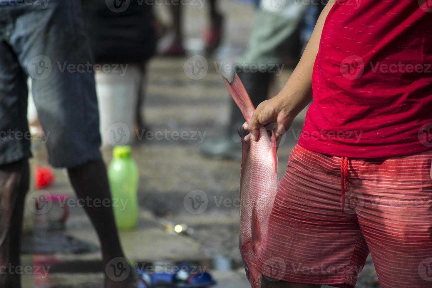 The assorted seafoods sold in fish market photo