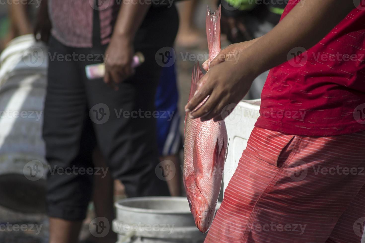 The assorted seafoods sold in fish market photo