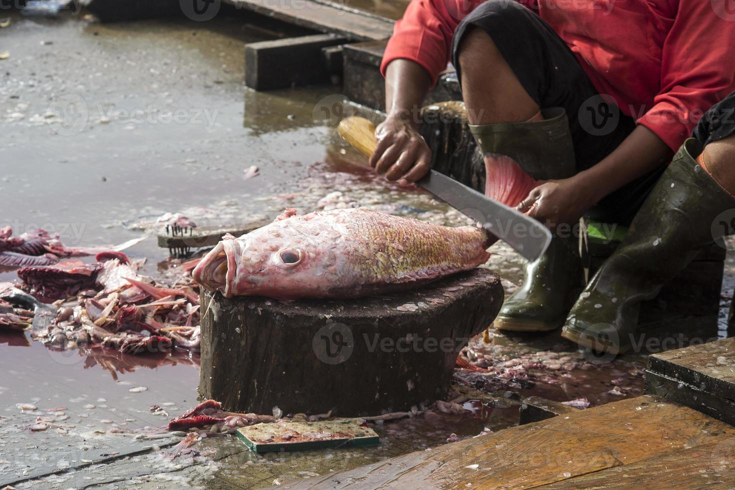 la variedad de mariscos que se venden en el mercado de pescado foto