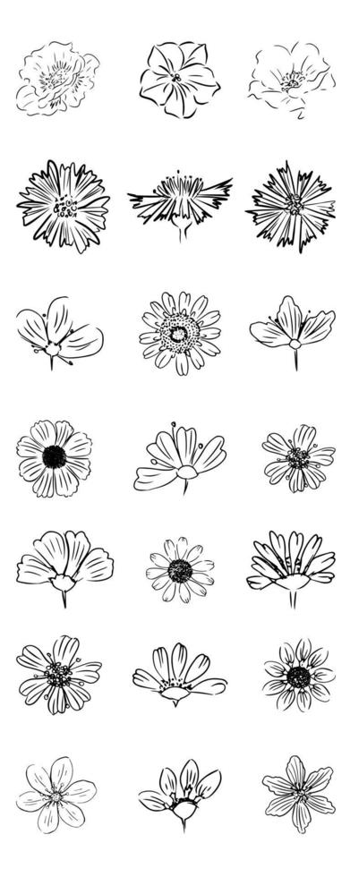 Flowers Icon set. line art. On white background. Isolated vector