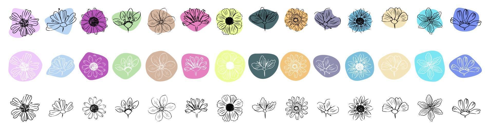 Daisy. Icon set. Flowers on abstract shape on white background. vector