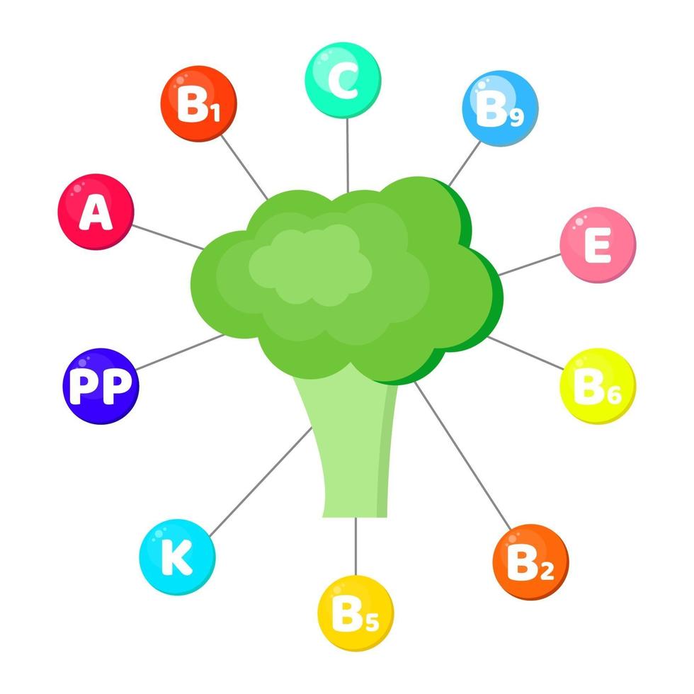 infografías. vitaminas contenidas en verduras. brócoli vector