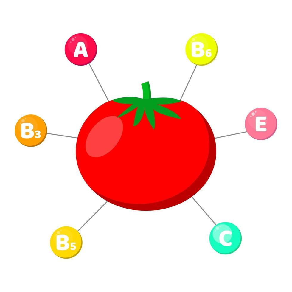 vitaminas contenidas en verduras. tomate. vector