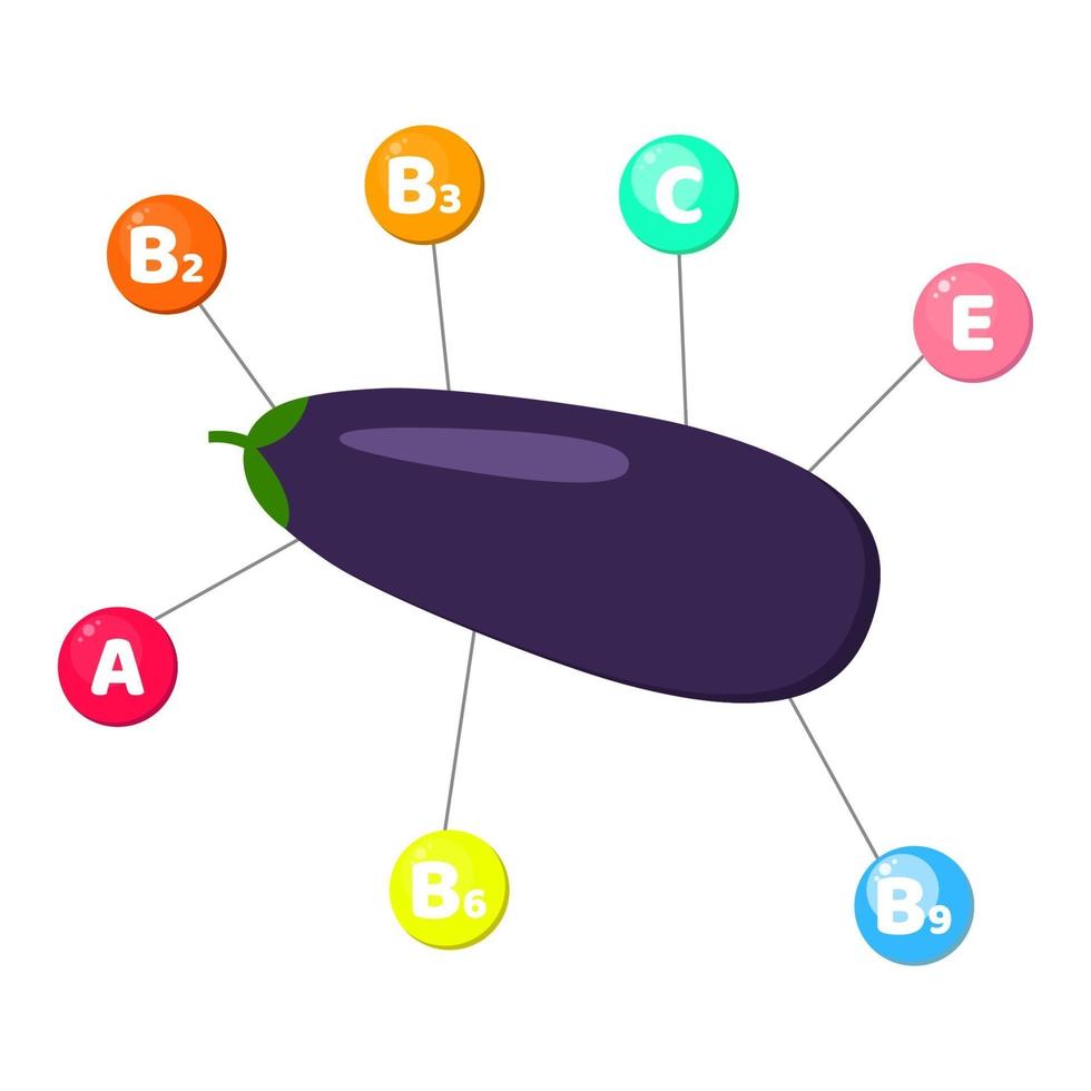 vitamins contained in vegetables. Eggplant vector