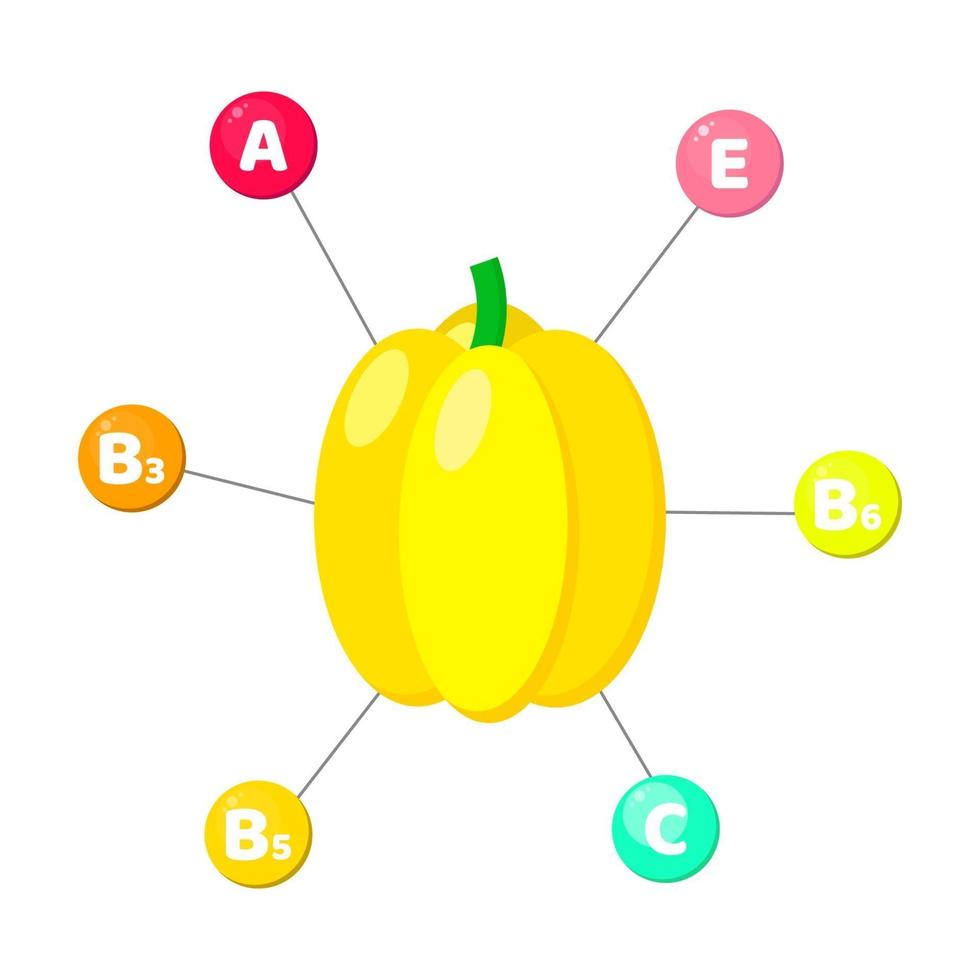 vitamins contained in vegetables. Yellow paprika vector