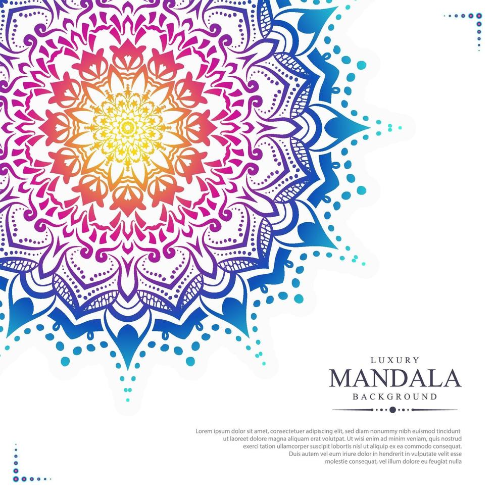 luxury ornamental mandala design background vector