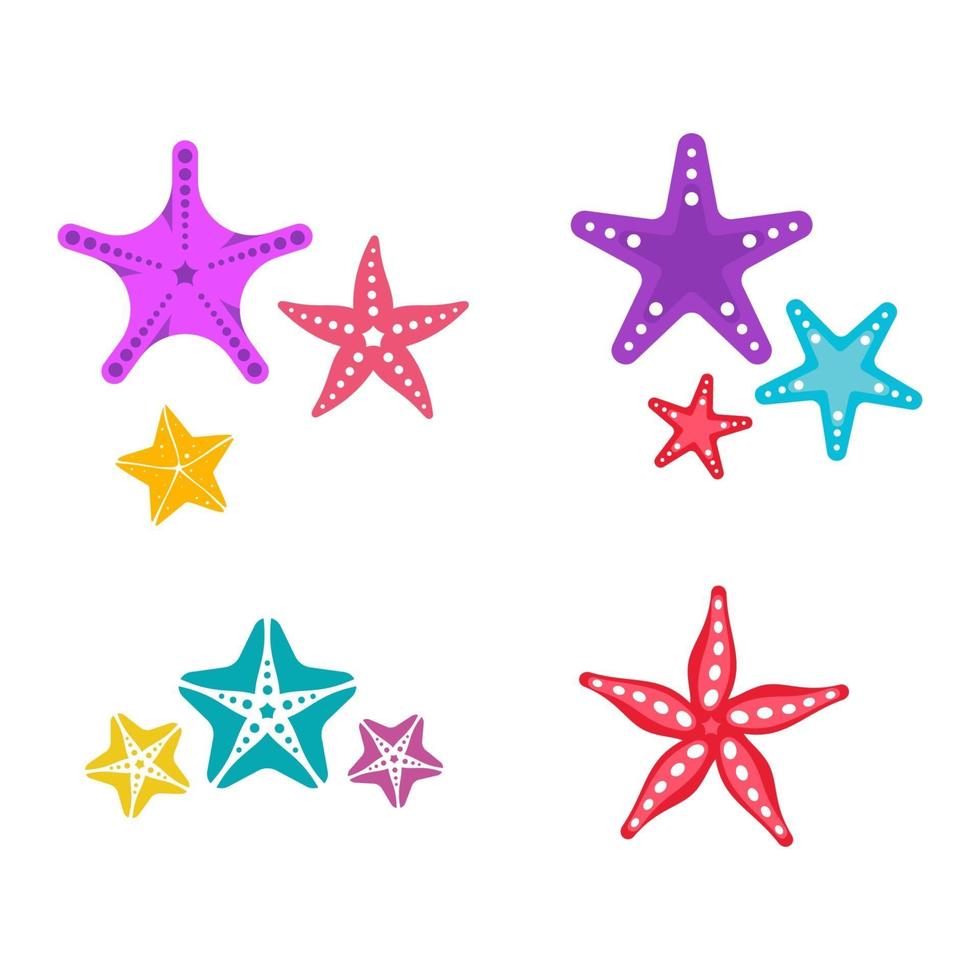 Sea Star fish icon Template vector