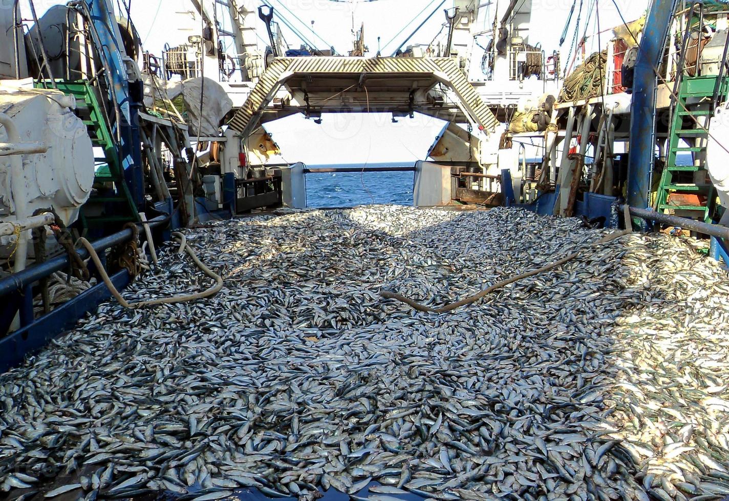 Fishing with a trawl photo