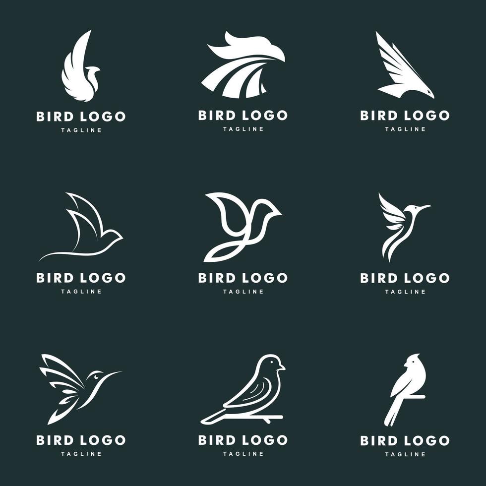 pájaro, logotipo, conjunto, vector, icono, ilustración, diseño vector