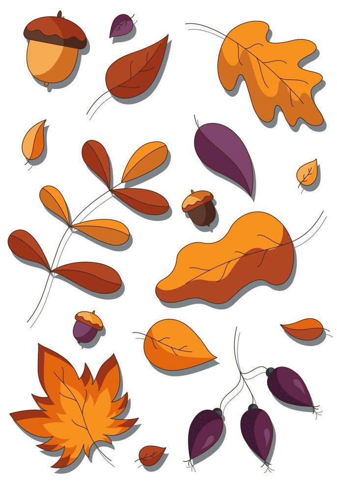 Cartoon set of fallen autumn botanical forest plants. vector