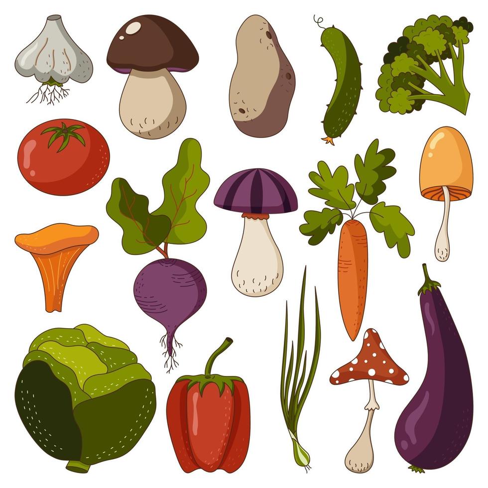 Icon set of autumn raw vegetables and mushrooms on a white background. vector