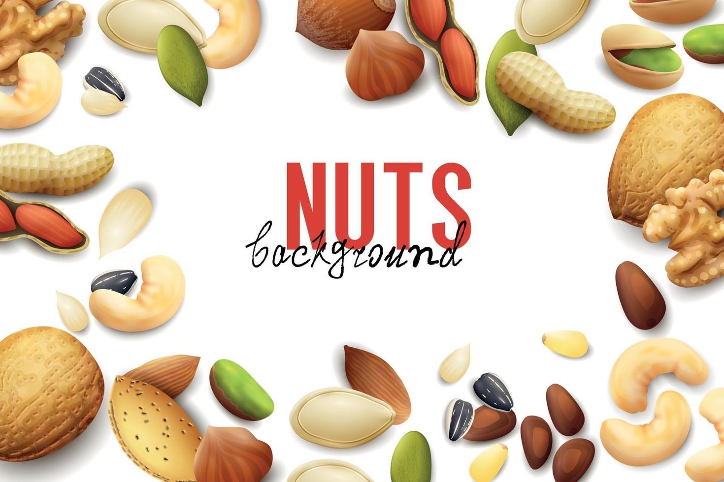 Realistic Nuts Background 3288413 Vector Art at Vecteezy