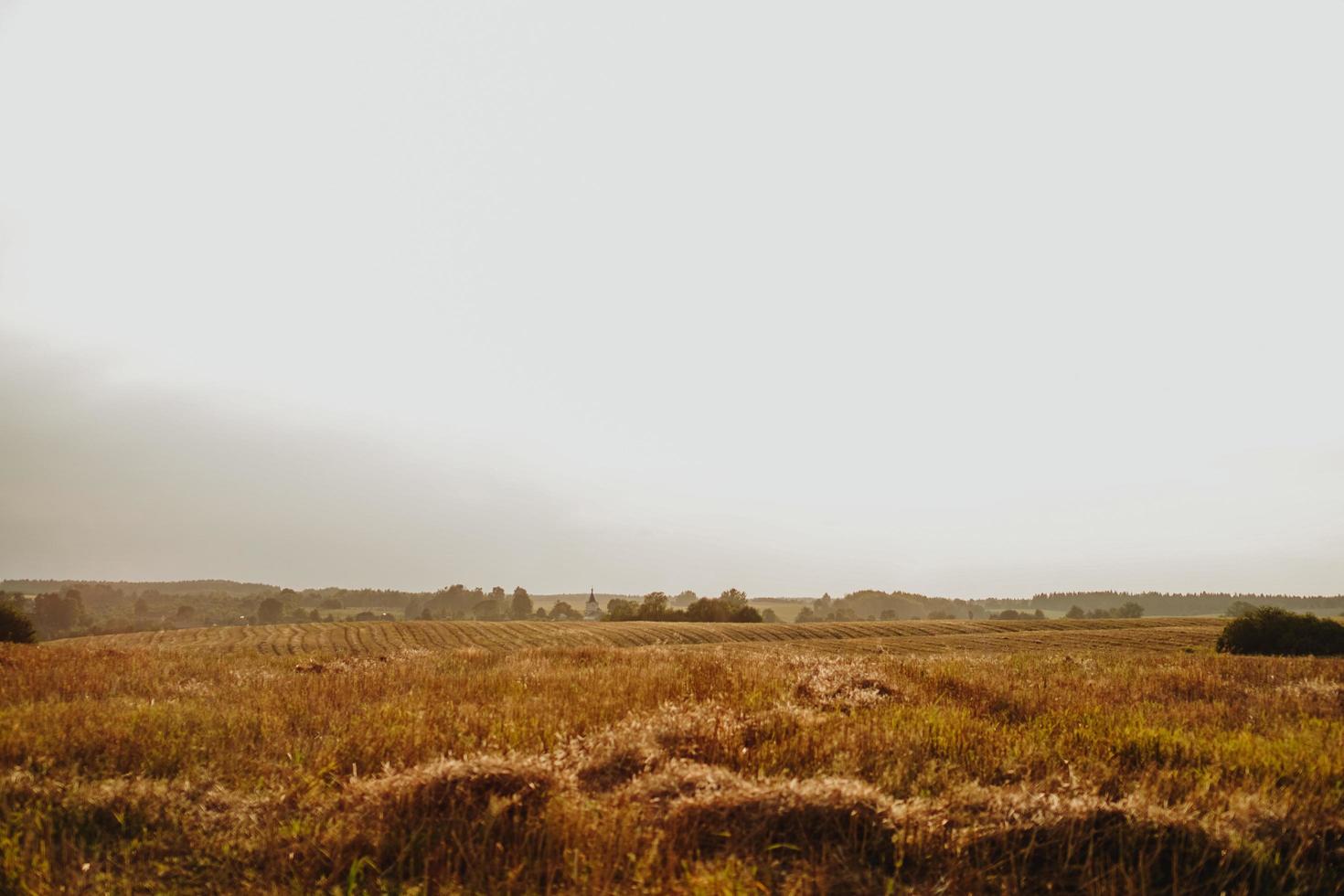 Yellow agriculture field village panorama landscape photo