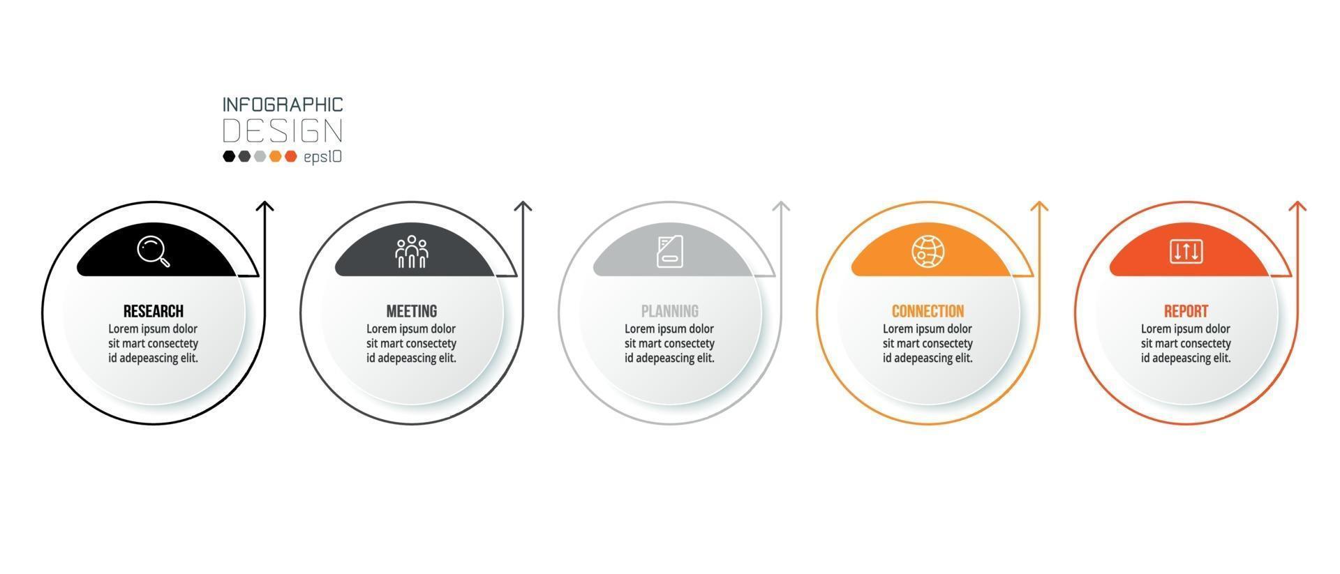 Business concept infographic template with option. vector