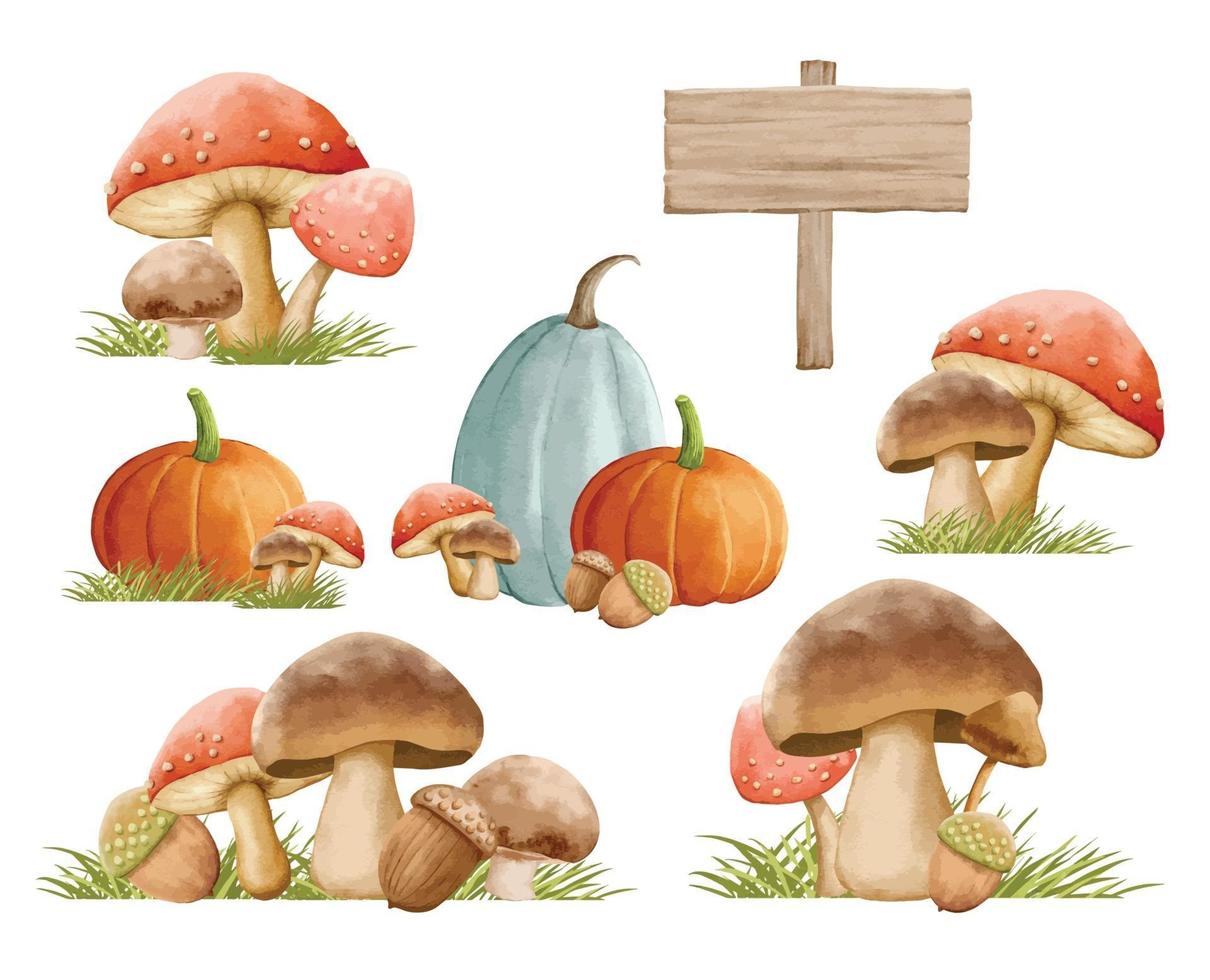 Mushrooms autumn set with grass in watercolor painting style. vector