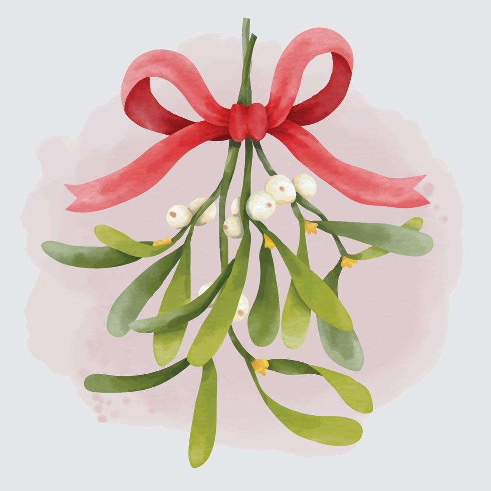 Watercolor Christmas Mistletoe Bouquet vector