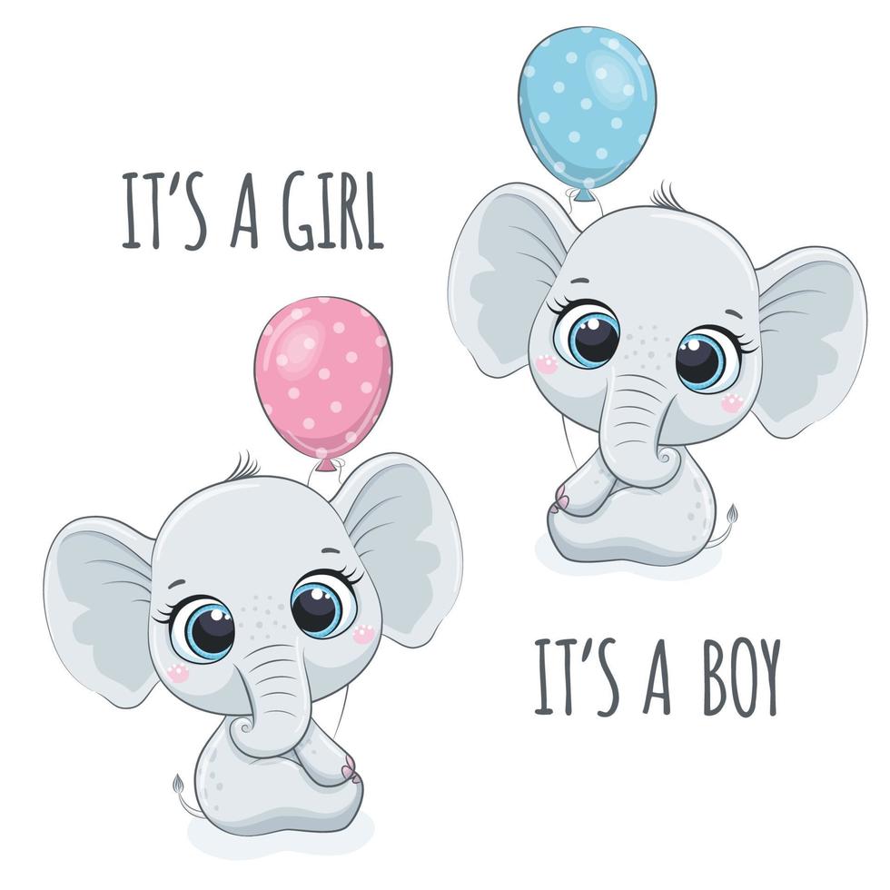 lindo bebé elefante con frase: es un niño y es una niña. vector