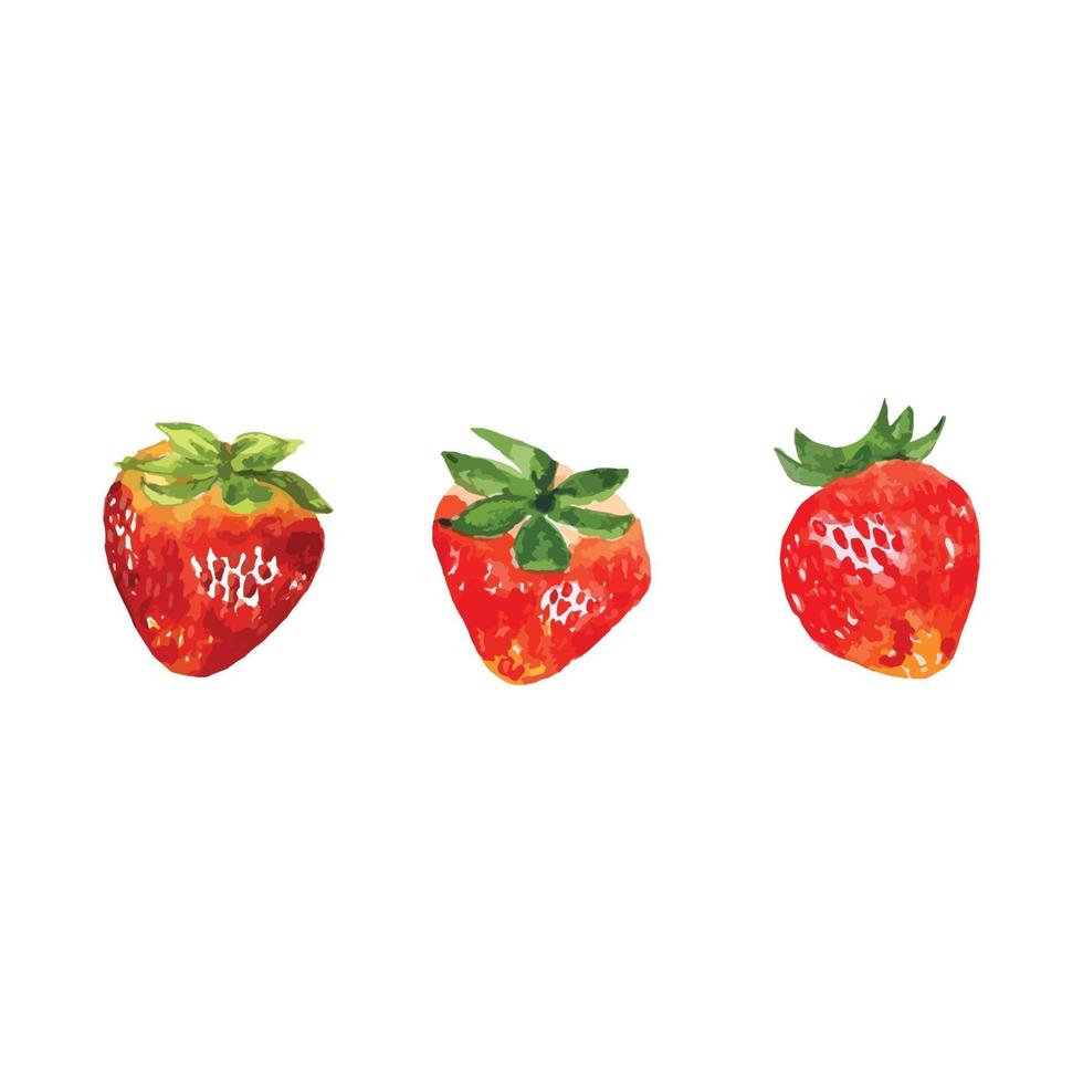 Three shapes of Strawberry vector