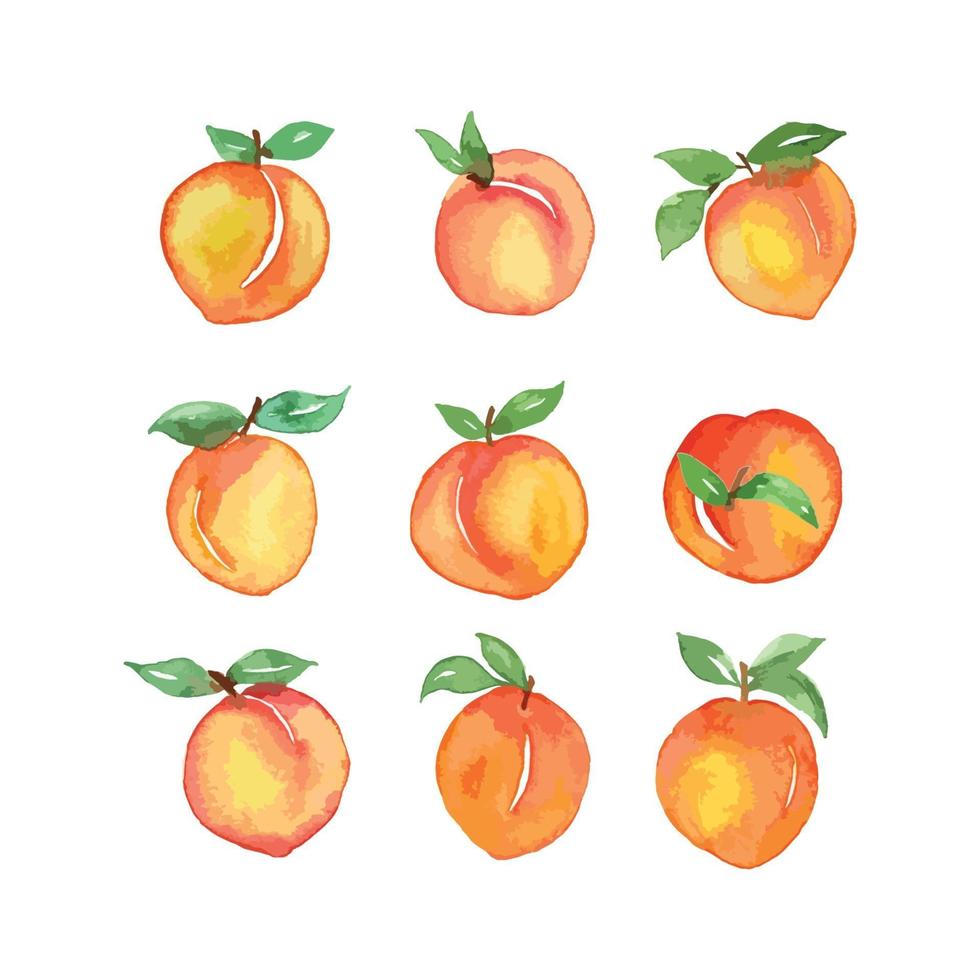 Different shapes of Peach vector