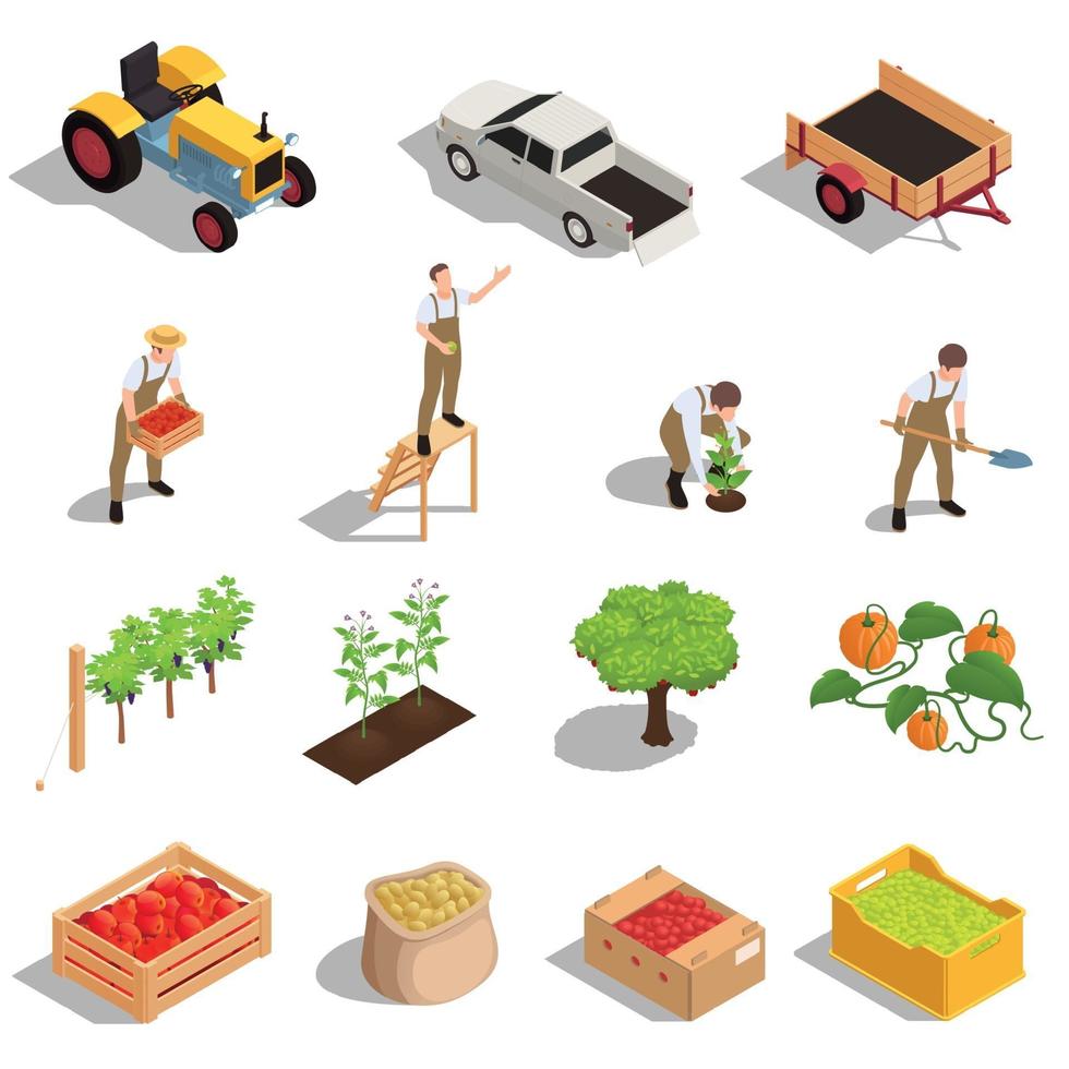 Farm Harvesting Isometric Set vector