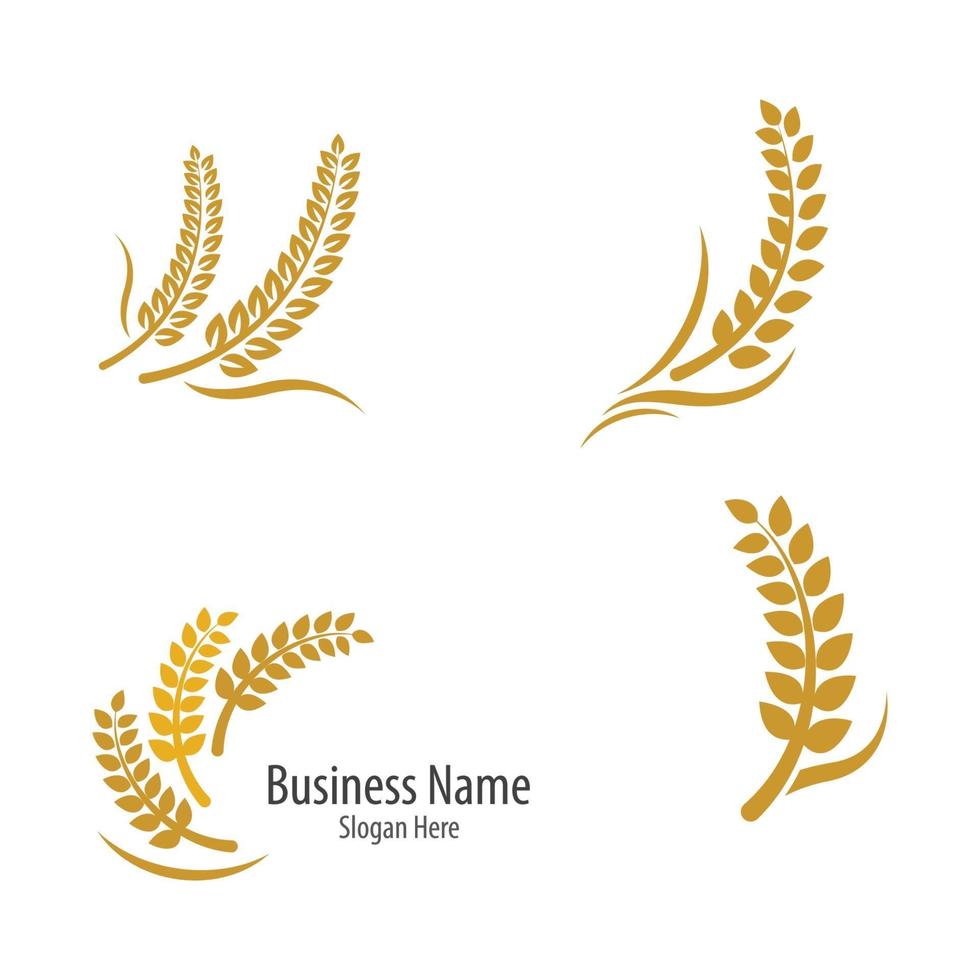 Wheat logo images vector