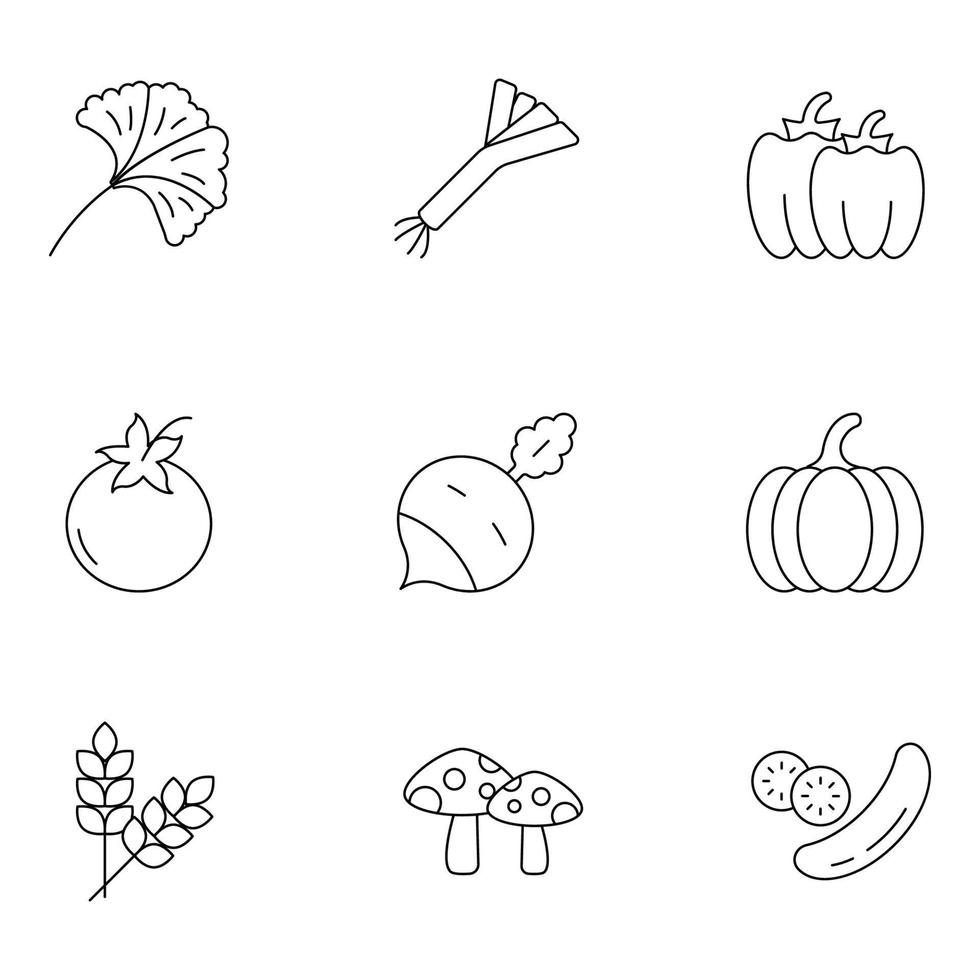 Fruits and Vegetables Thin Line icons Sets vector