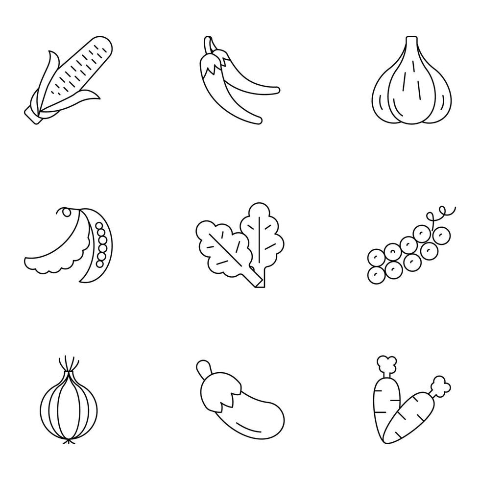 conjuntos de iconos de línea fina de frutas y verduras vector