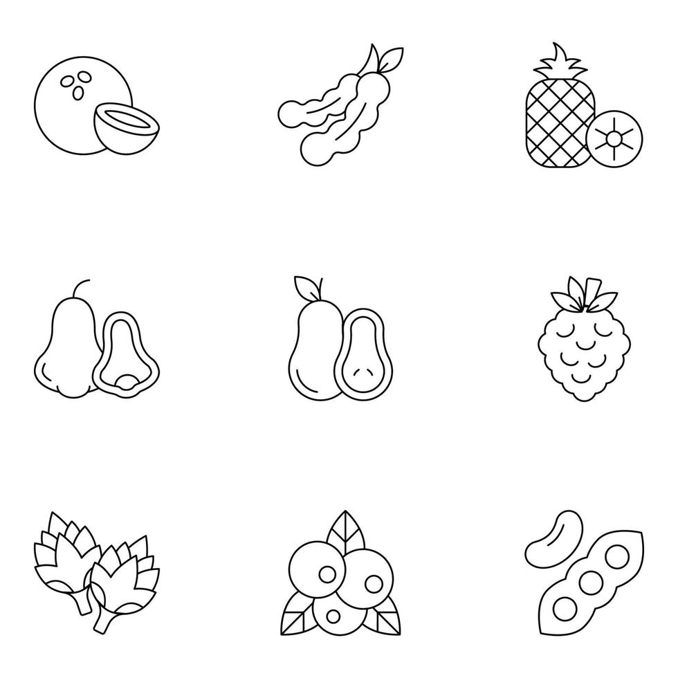 conjuntos de iconos de línea fina de frutas y verduras vector