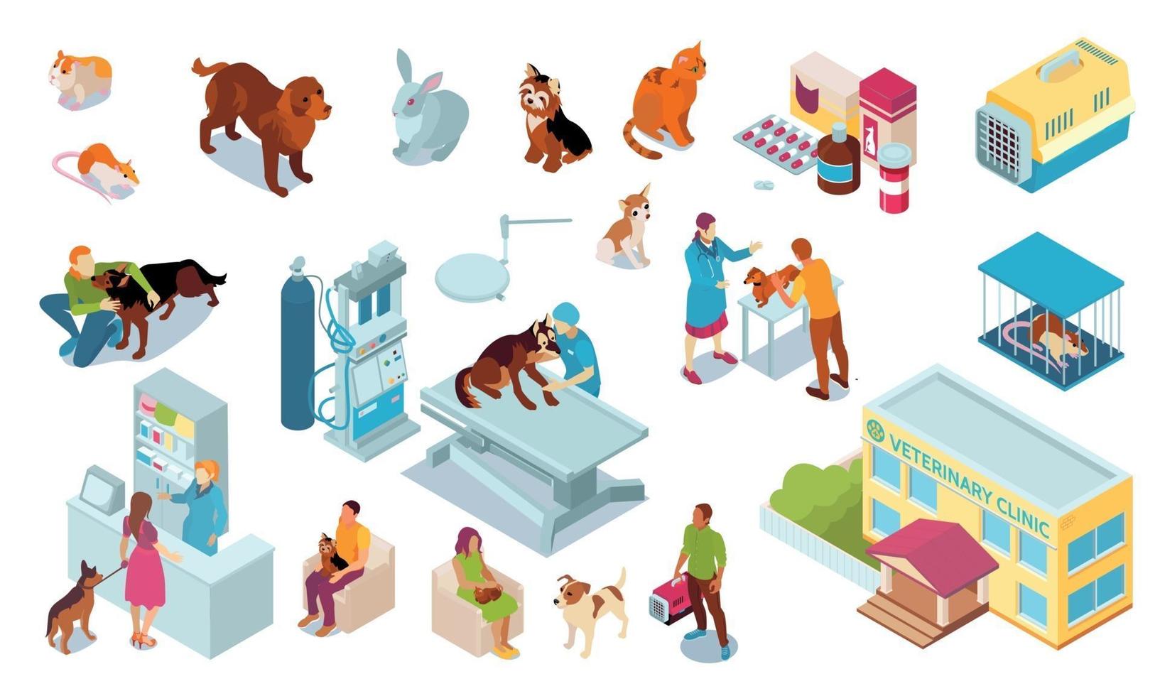 Isometric Veterinary Color Icon Set vector